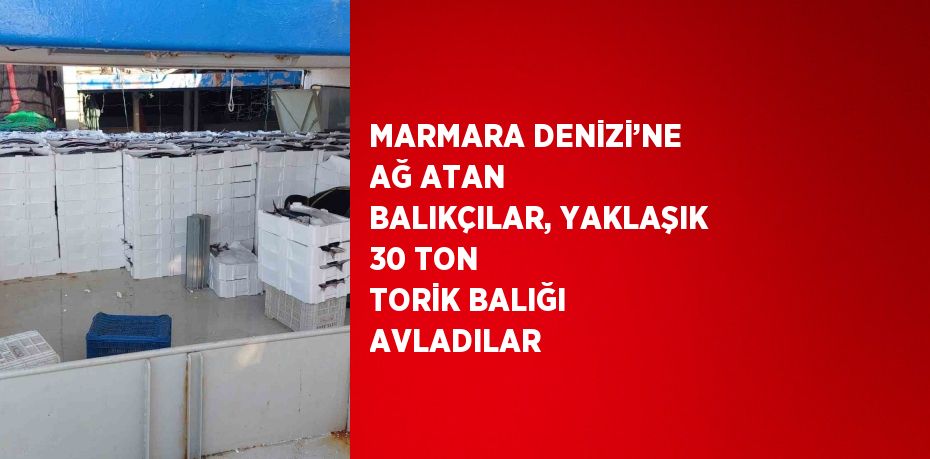 Marmara Denizi’ne ağ atan