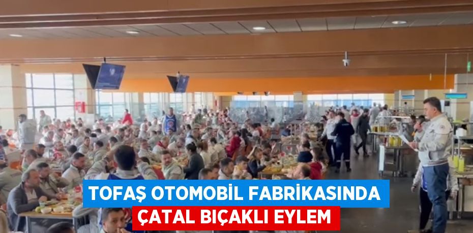 Türkiye’nin otomotiv devi Tofaş