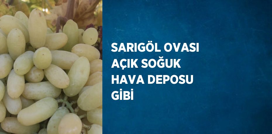 Manisa’nın Sarıgöl Ovası, örtü