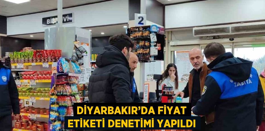 Diyarbakır Büyükşehir Belediyesi, kent