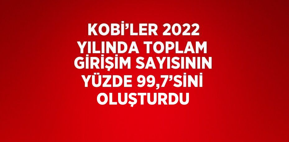 KOBİ’ler 2022 yılında toplam