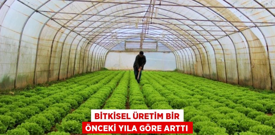 Üretim miktarları, 2023 yılında