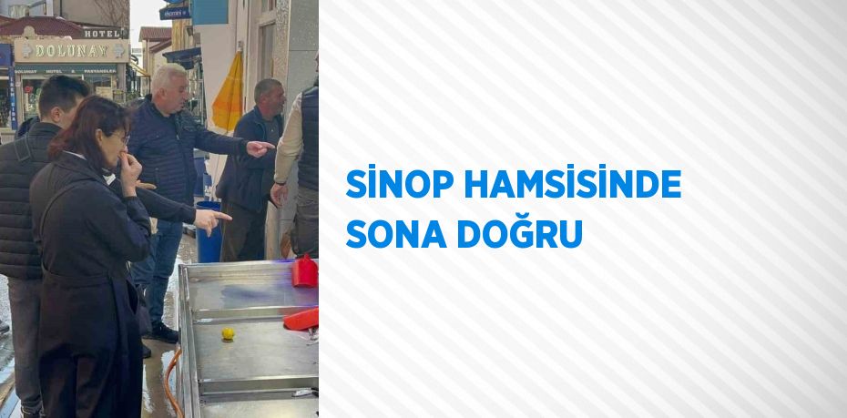 Sinop’ta avlanan hamsi azalınca