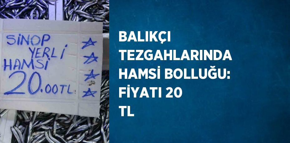 Sinop’ta balıkçı tezgahlarında hamsi