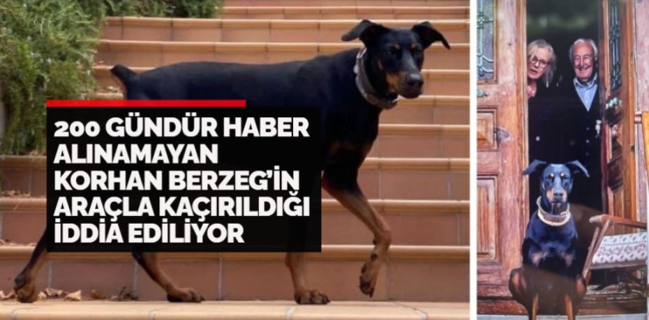 Balıkesir’in Gönen ilçesinde tatil için gittiği yazlık evinden, köpeği Tina