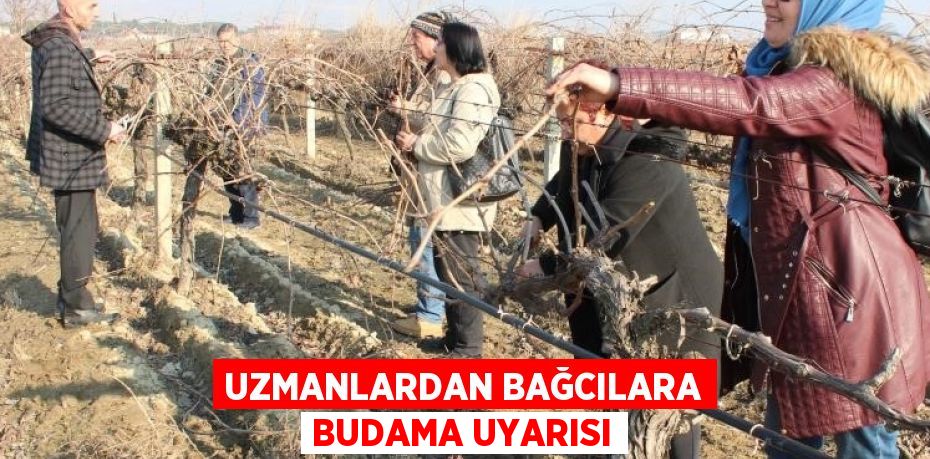 Üzümün başkenti olarak bilinen