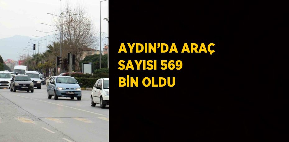 Aydın’da Kasım ayında toplam