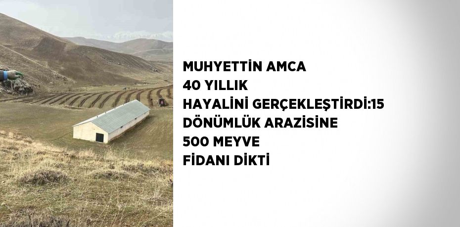 Hakkari’nin Yüksekova ilçesinde yaşayan