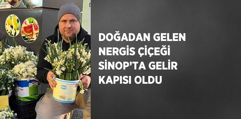 Sinop’un köylerinde doğal olarak