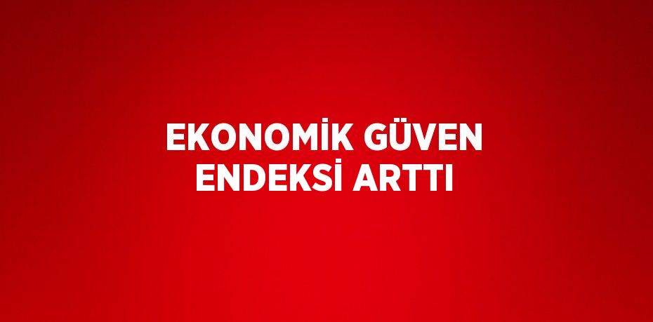 Ekonomik güven endeksi Aralık