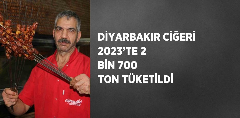 Diyarbakır’da sabahın ilk ışıklarıyla