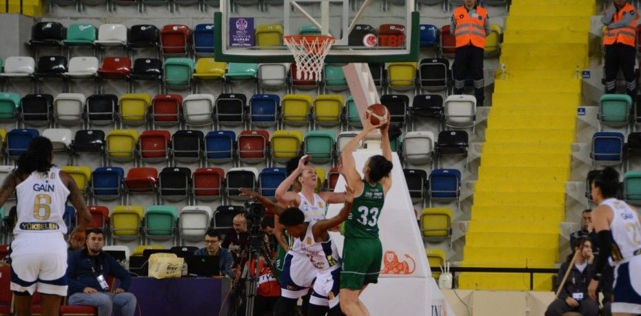 Basketbol ING Kadınlar Türkiye