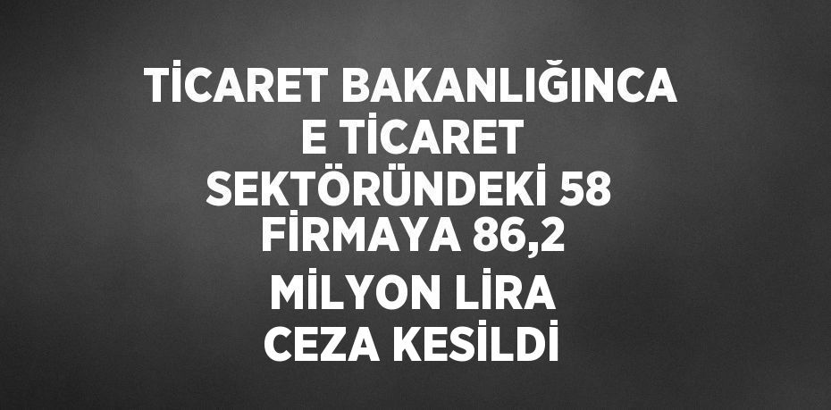 Ticaret Bakanlığı, e-ticaret sektöründeki