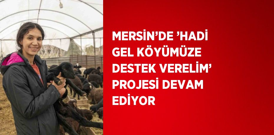 Mersin Büyükşehir Belediyesinin 4