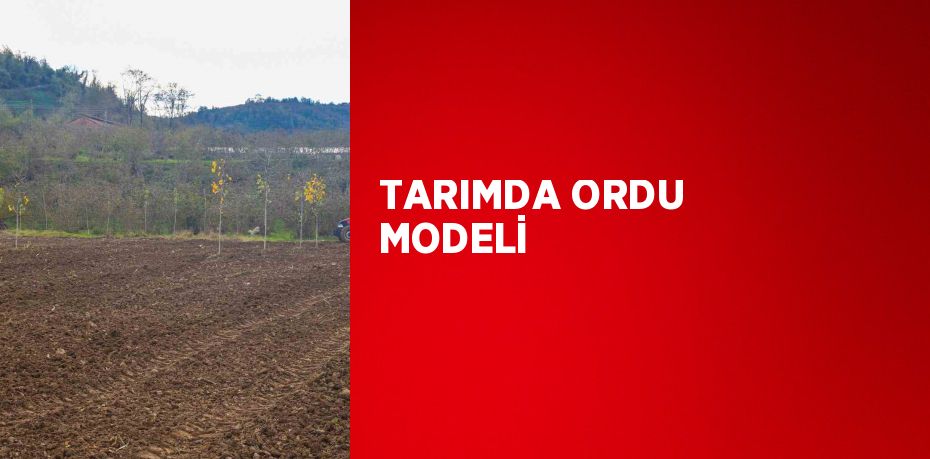 Ordu Büyükşehir Belediyesi(OBB), üretim