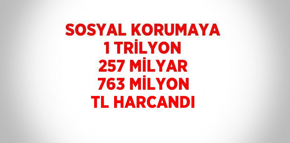 Sosyal koruma harcaması 2022