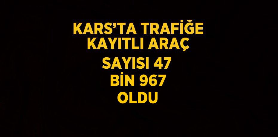 Kars’ta Kasım ayında trafiğe