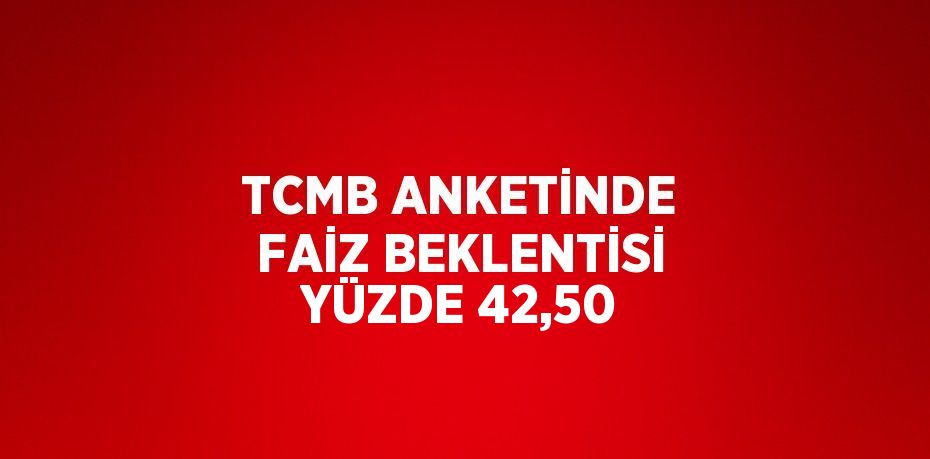 TCMB’nin Aralık ayı piyasa