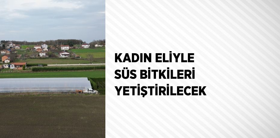 Samsun’da yürütülen ‘Kadın Eliyle