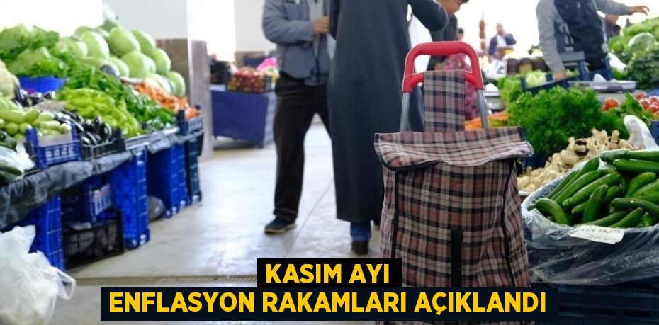 Tüketici Fiyat Endeksi kasımda