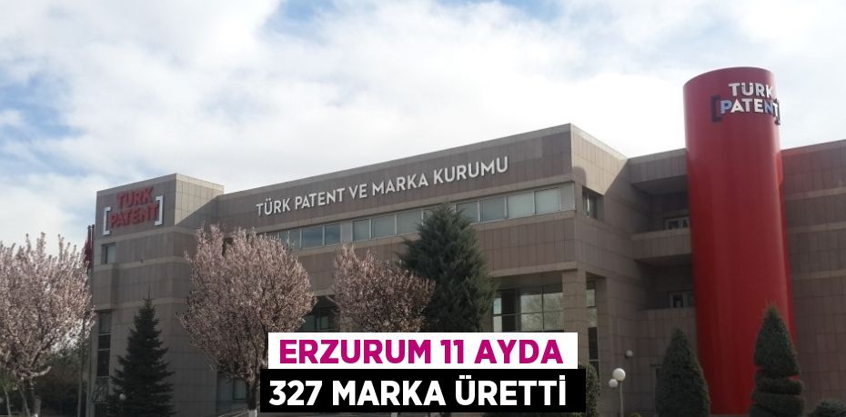 Erzurum’dan Kasım ayında 28,