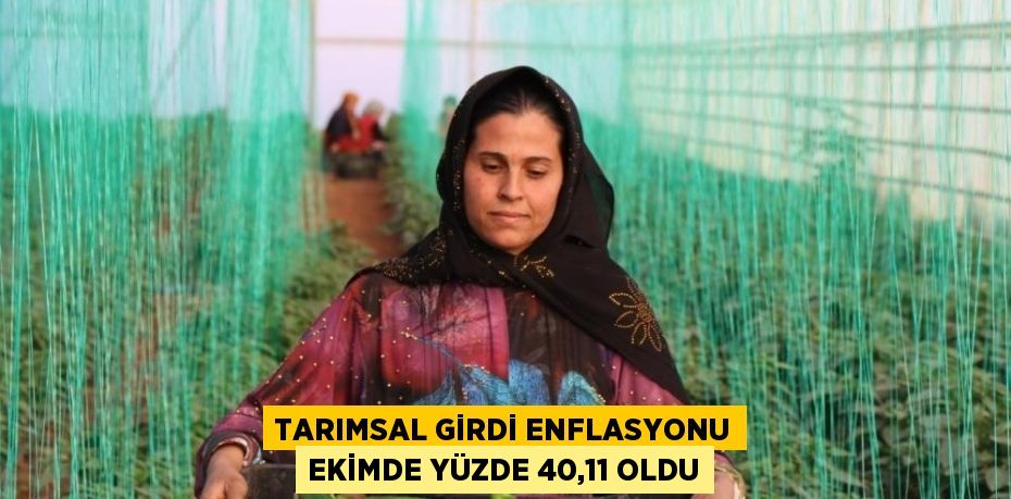 Tarımsal girdi fiyat endeksi