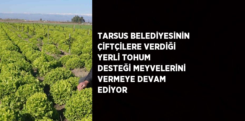 Mersin’in Tarsus ilçe Belediyesinin,