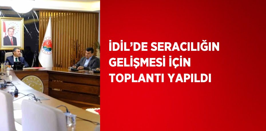 Şırnak’ın İdil ilçesinde seracılığın