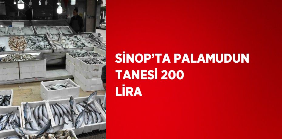 Sinop’taki balık tezgahlarında uzun