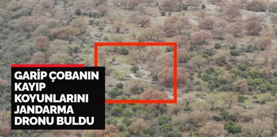 Balıkesir’in İvrindi ilçesinde bir