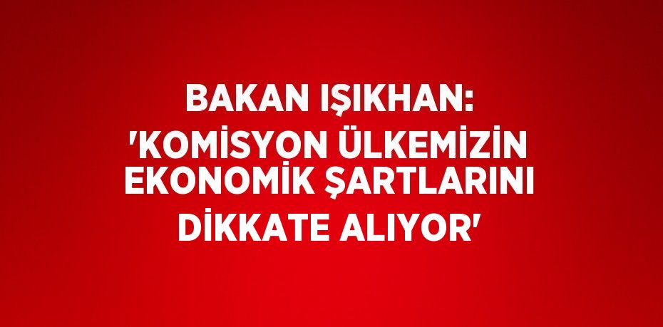 Bakan Işıkhan: 'Komisyon ülkemizin