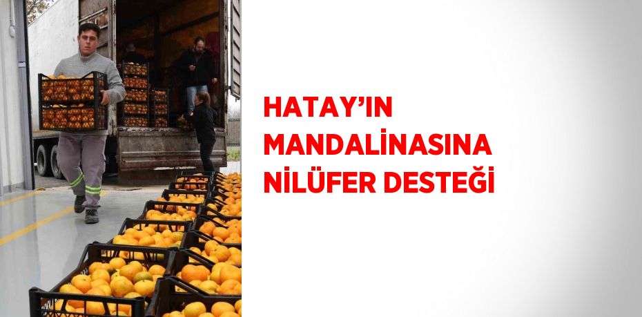 Deprem felaketinin doğurduğu olumsuz