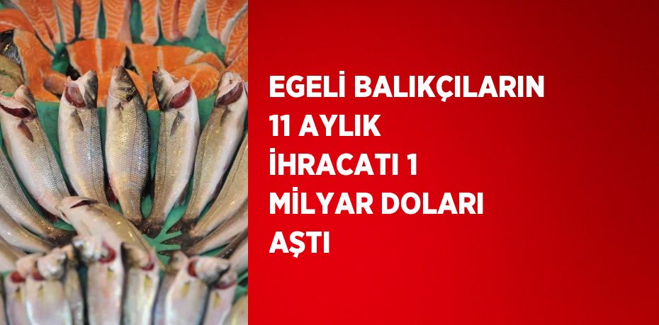 Egeli balıkçıların 11 aylık