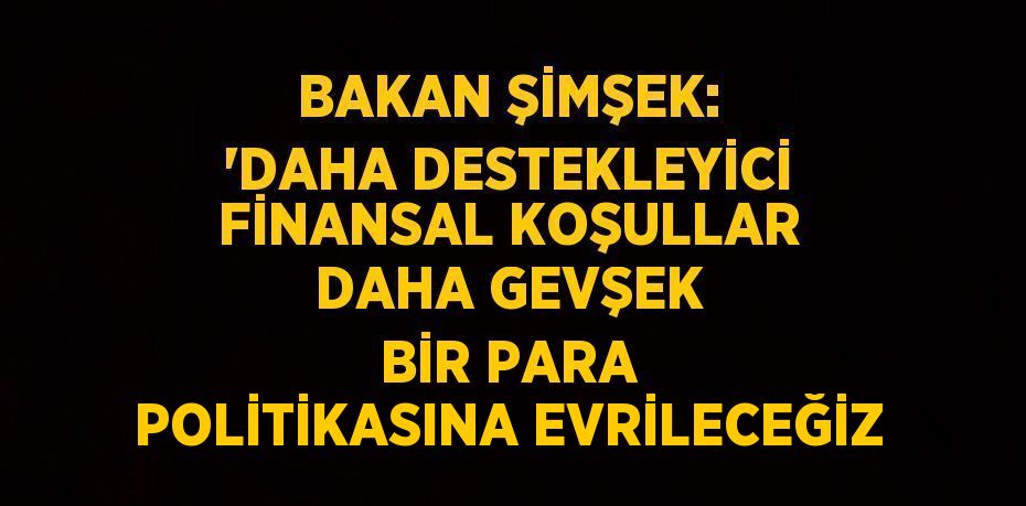 Bakan Şimşek: 'Daha destekleyici