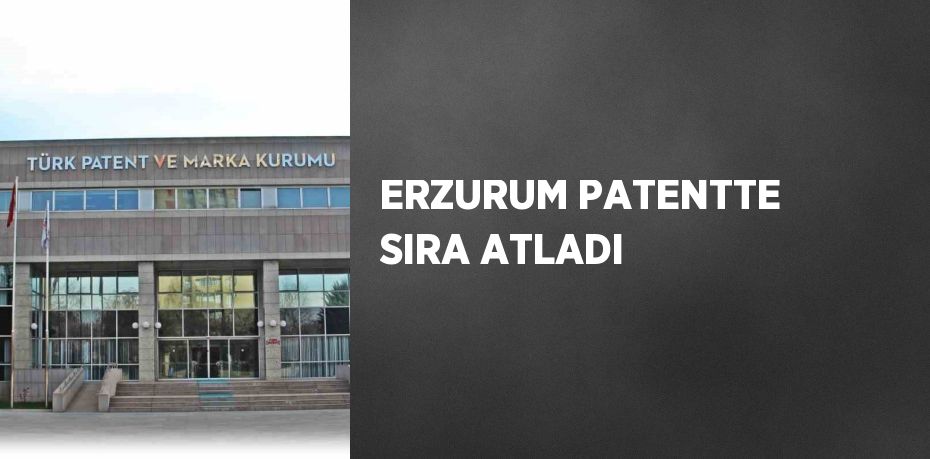 İl patent başvurusu sayısı