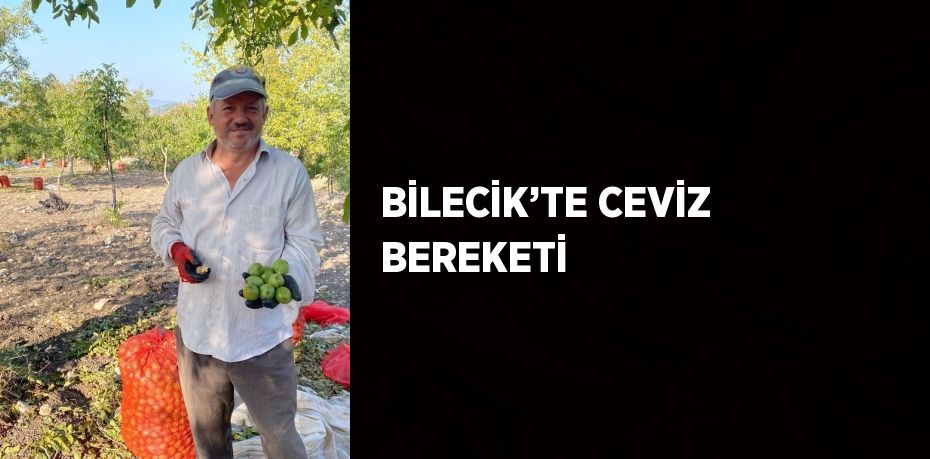 Bilecik’in Gölpazarı ilçesi ceviz