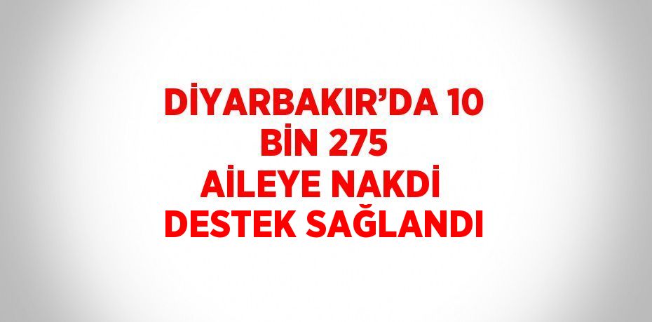 Diyarbakır Büyükşehir Belediyesi, 17