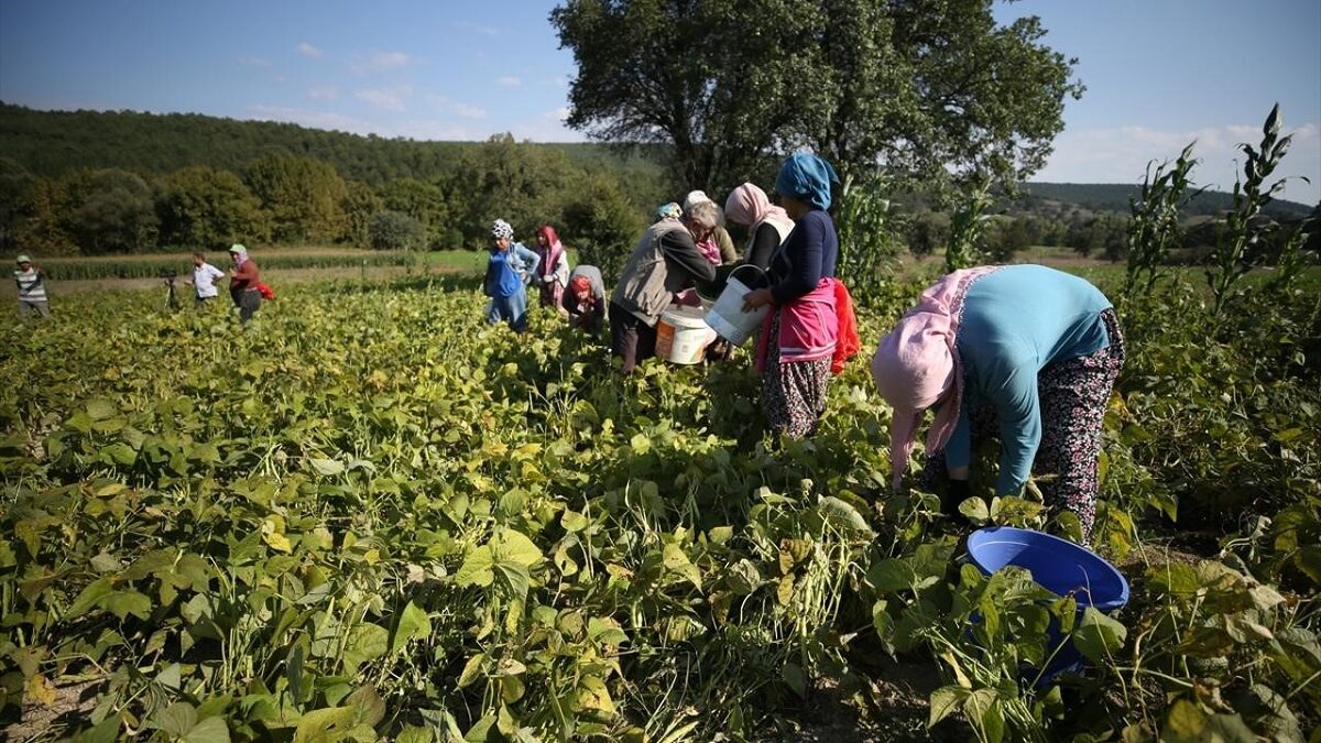 GMKA destek verdi, kadın üretimi ve istihdam güçlendi