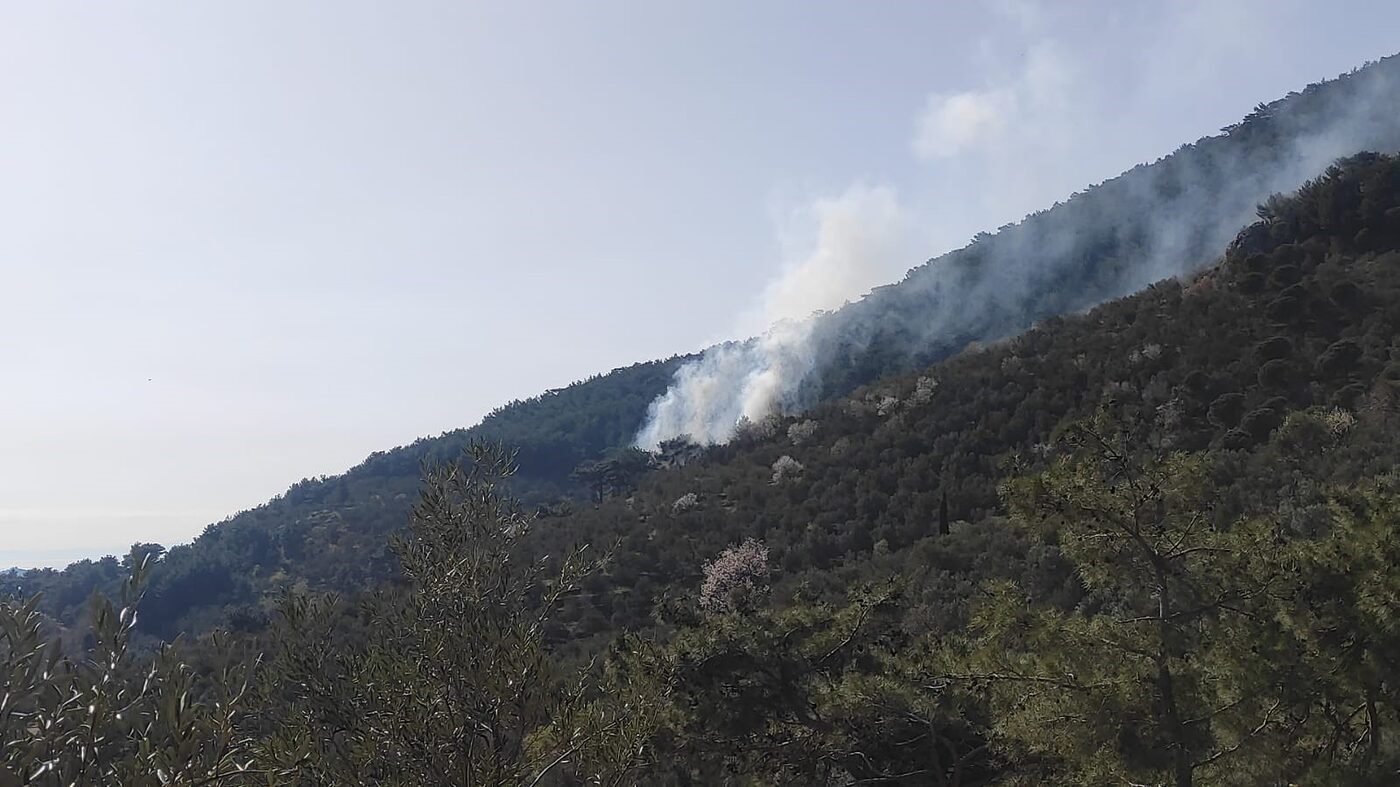 Balıkesir’in Edremit ilçesinde Kazdağları eteklerinde zeytin bahçesinde çıkan yangın ormanlık