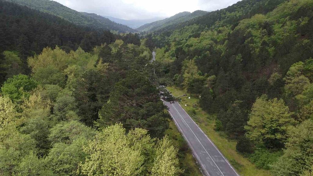 Kazdağları bahar ile birlikte yeşilin binbir tonuna büründü