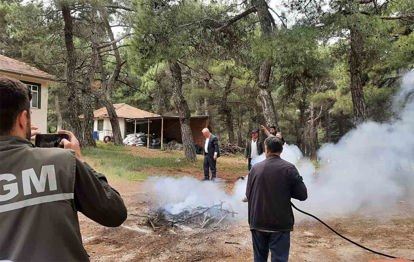 Balıkesir Orman Bölge Müdürlüğü