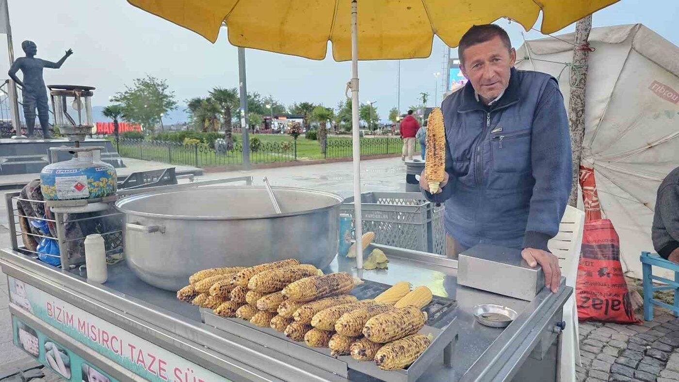 Balıkesir’in Bandırma ilçesinde süt