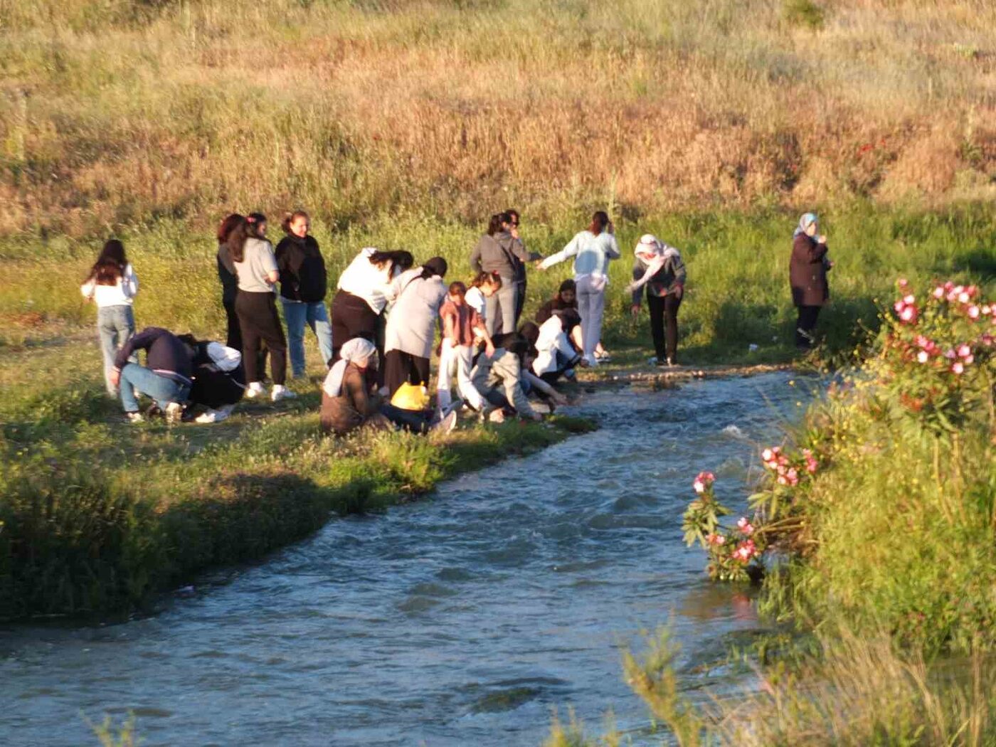 Burhaniye ilçesinde, Hıdırellez kutlama