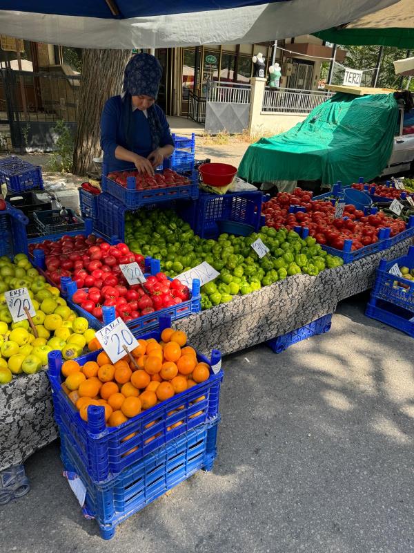 Bahar aylarına veda edip