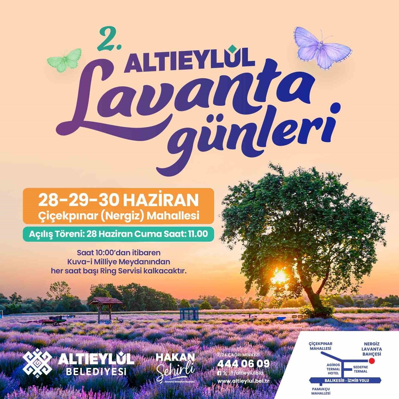 Altıeylül Belediyesi vatandaşları lavanta