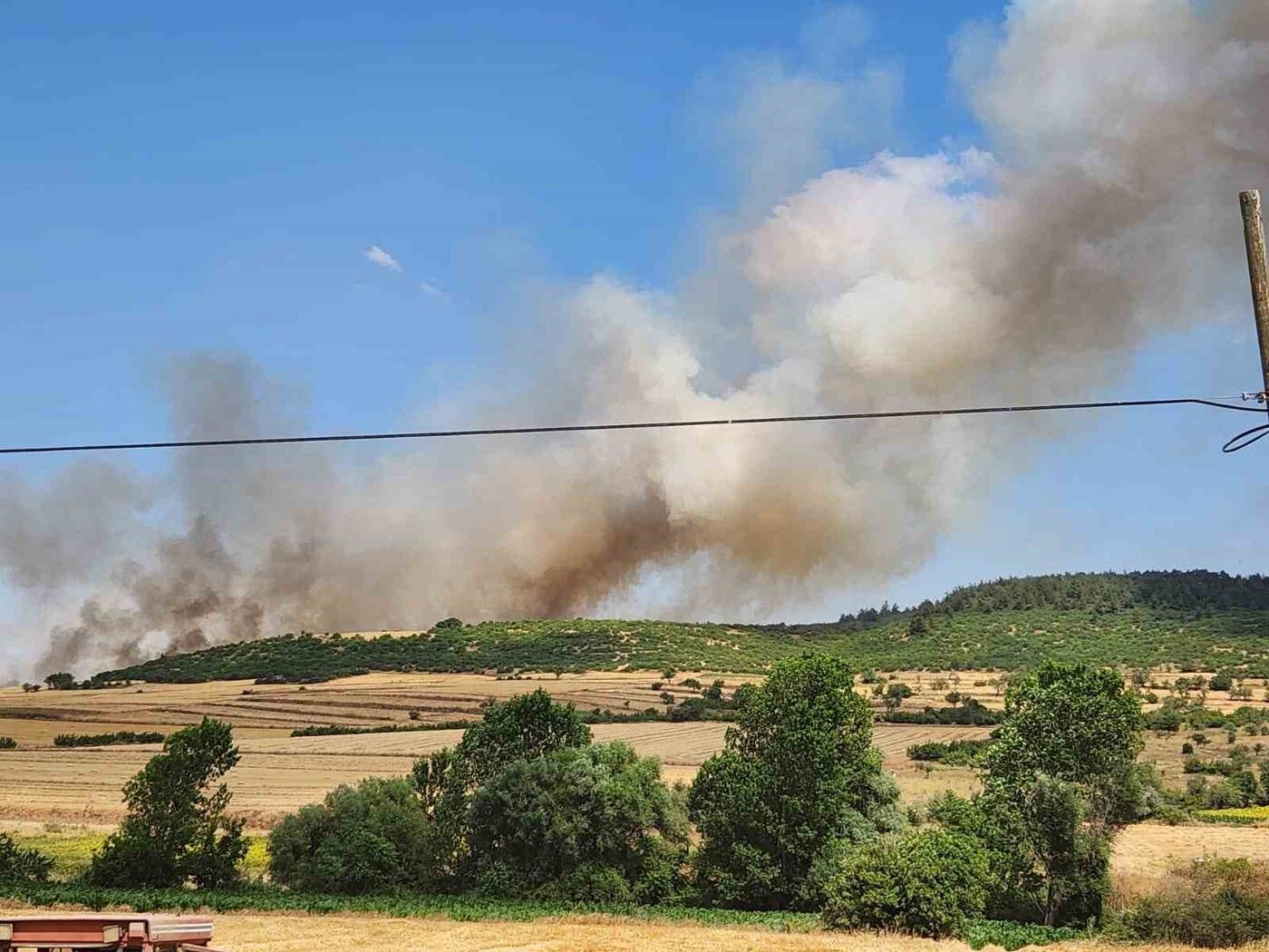 Balıkesir’in Altıeylül ilçesinde makilik