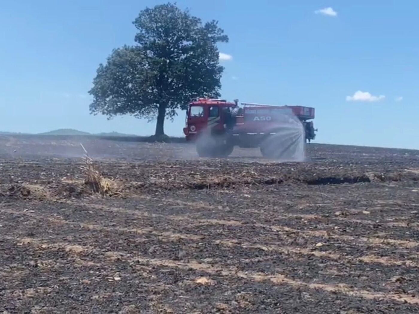 Balıkesir’de tarla yangını: 35 ton buğday kül oldu