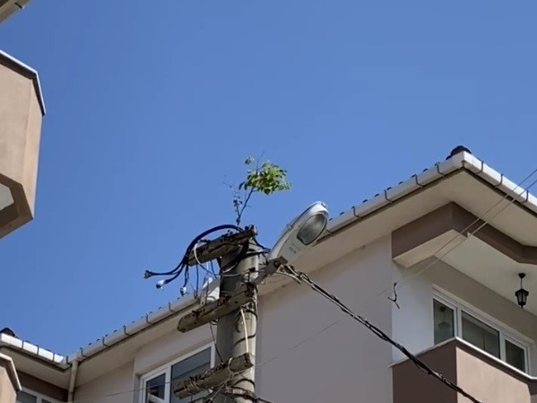 Balıkesir’in Gönen ilçesinde, elektrik