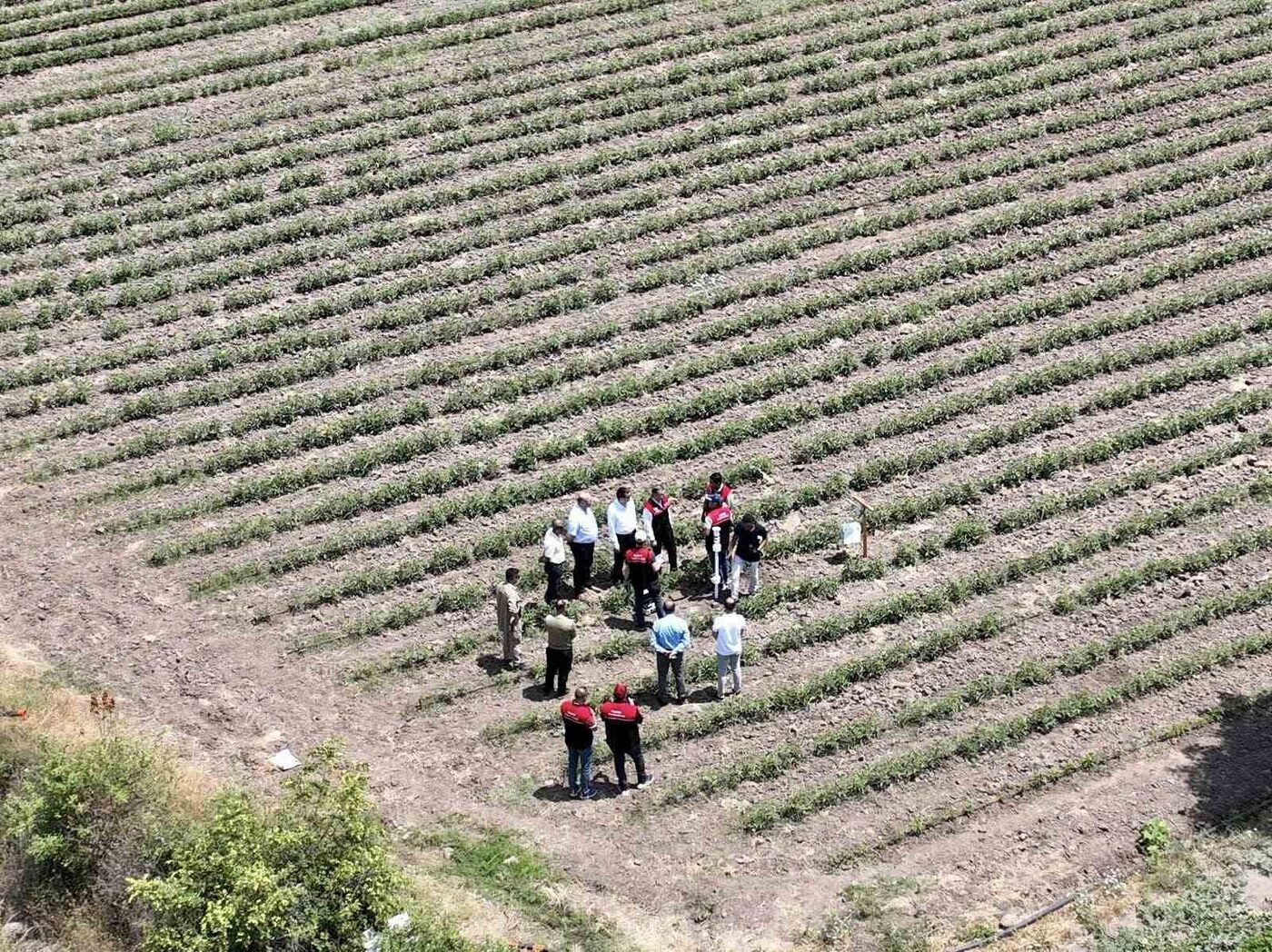 Balıkesir İl Tarım ve