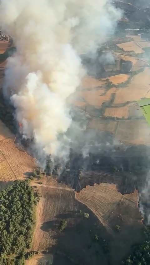 Balıkesir’in Altıeylül ilçesinde makilik